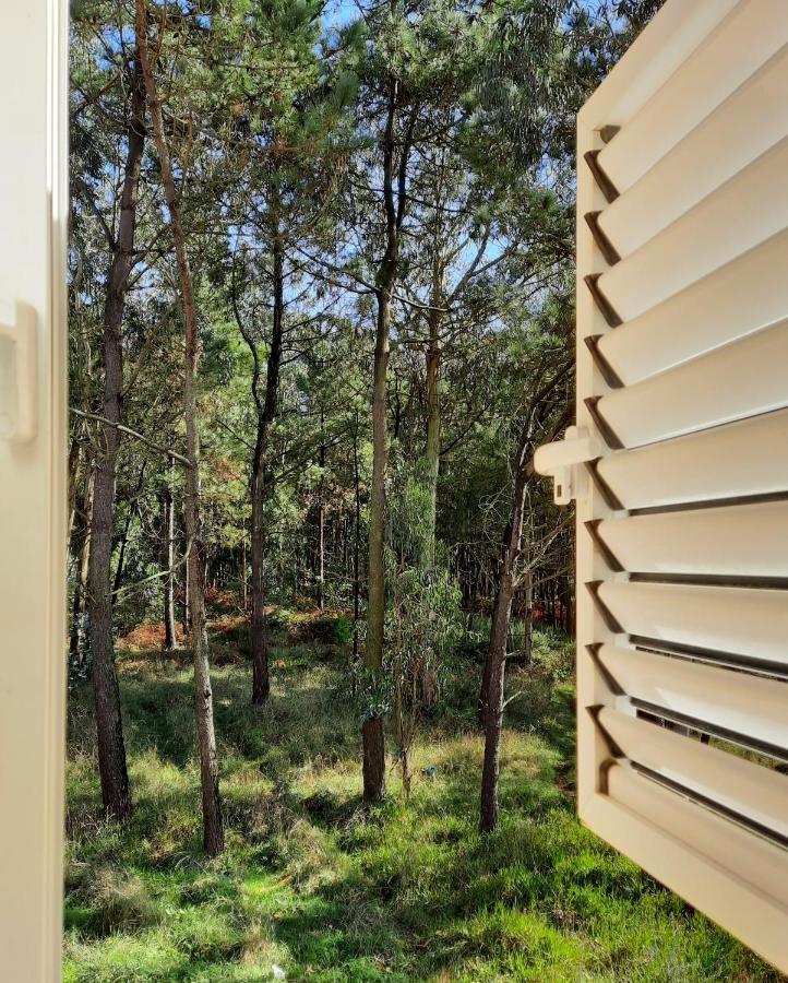 Smiling Places - Guest House In Labruge Bagian luar foto