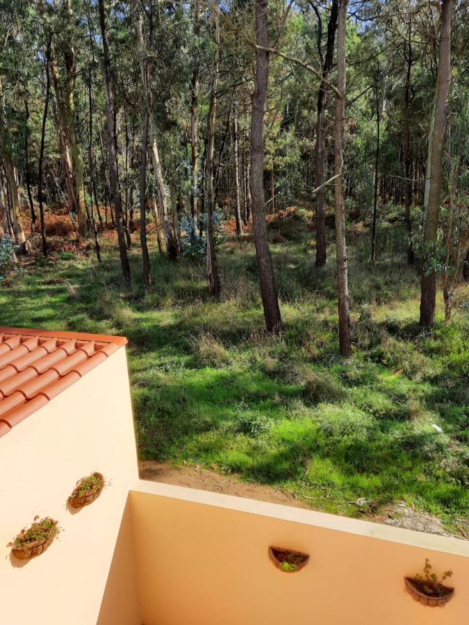 Smiling Places - Guest House In Labruge Bagian luar foto